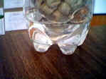 Peanuts in bottle pot 5.jpg (11950 bytes)